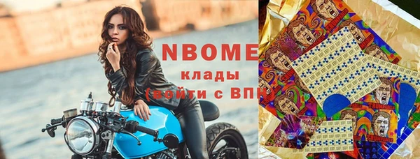 индика Снежинск
